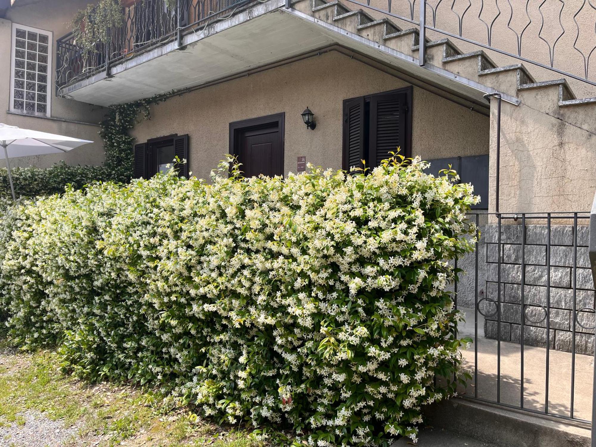 Il Cortile Como Single & Double Room In Apartment No Hotel Buitenkant foto