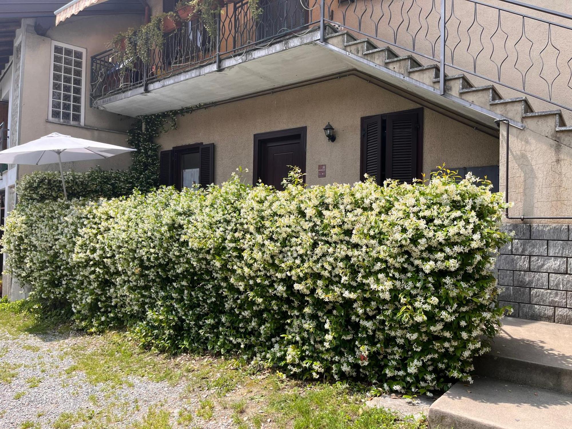 Il Cortile Como Single & Double Room In Apartment No Hotel Buitenkant foto